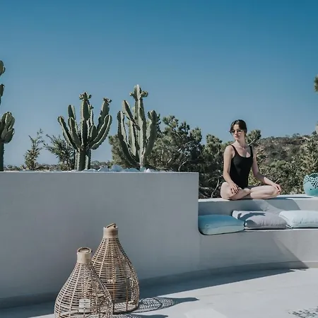 Pignolia - Adults Only *